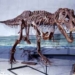 biological cycle of tyrannosaurus rex 7393