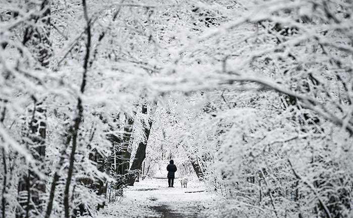 Snowy scenery resembling a fairy tale in a quiet park in Sofia, Bulgaria.