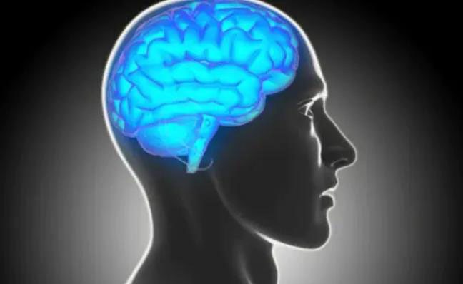The brain's waste disposal system contains cerebrospinal fluid