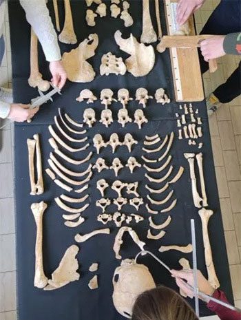 LABANOF anthropologists working on archaeological skeletons.