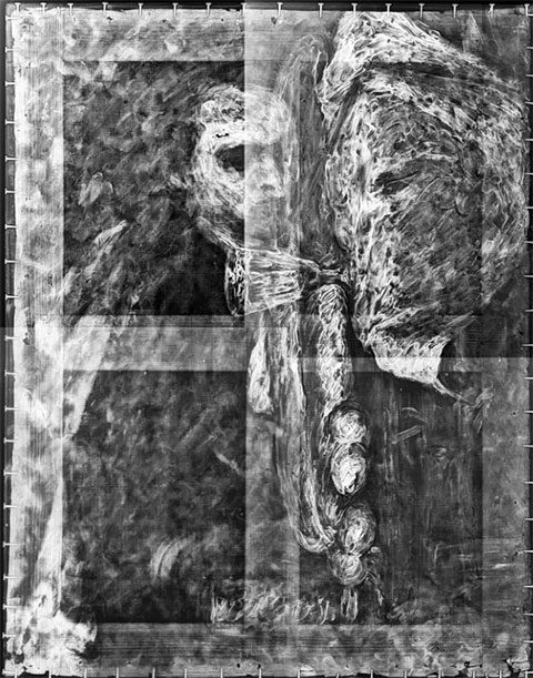 X-ray image fully displayed showing the presence of white lead