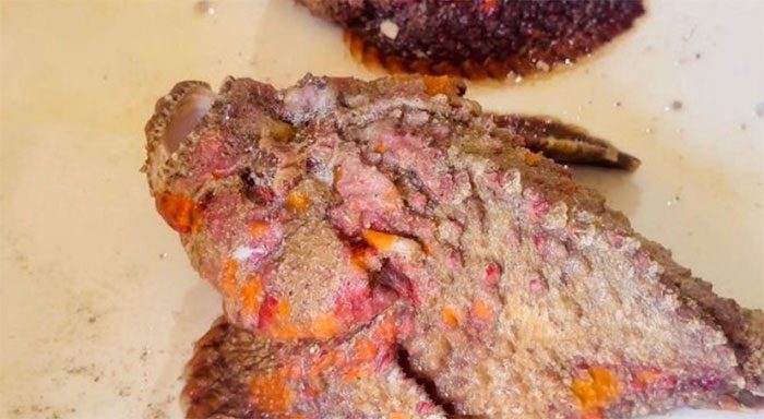 Normal devil fish typically have dark, algae-covered, mottled bodies.