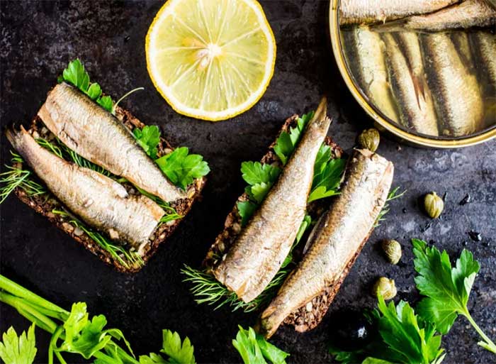 Canned Sardines