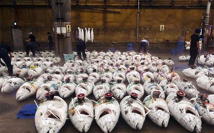 Japan does not set a fixed price for their fish