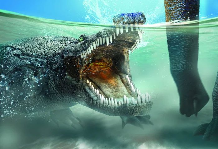 Underwater, crocodiles dive and slowly approach their prey.
