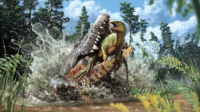 Crocodiles are always mindful of time when hunting.