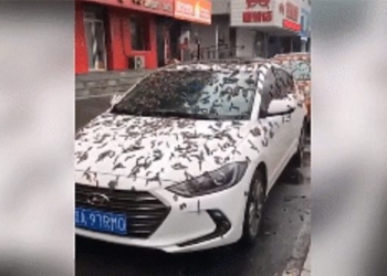 car video on the street behind the scenery like in horror movies 126325