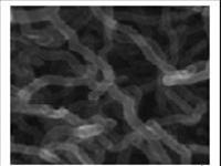 Electron microscope image of carbon nanotube created by Dr. Nguyen Chan Khe and colleagues at the Nano Technology Research Room, Ho Chi Minh City High-Tech Park R&D Center,