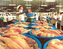 Basa fish has a lot of fat