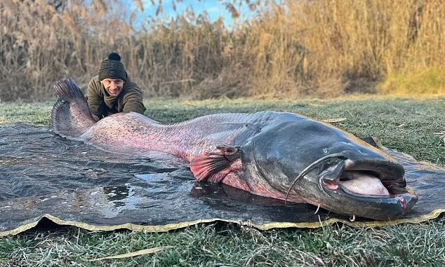 Ditch Ballard with the 100 kg fish he caught.