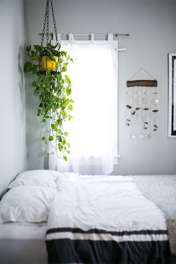 If it's not water, pests could be the reason for your plant's yellowing leaves.