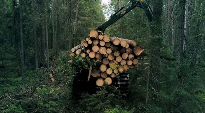 Uncontrolled deforestation is one of the main causes of climate change.
