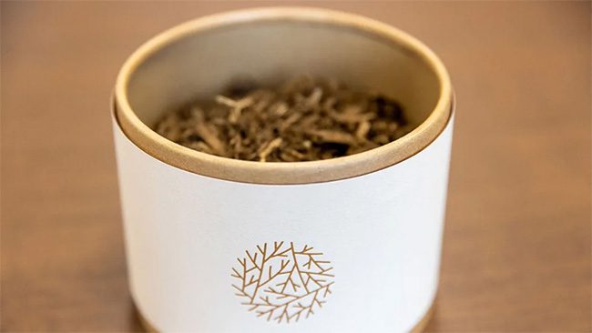 A pot of organic soil from a human body by the green funeral service Recompose.