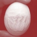 chicken egg allah 7005