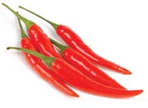 Chili Pepper