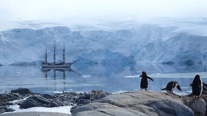 The island is home to hundreds of penguins