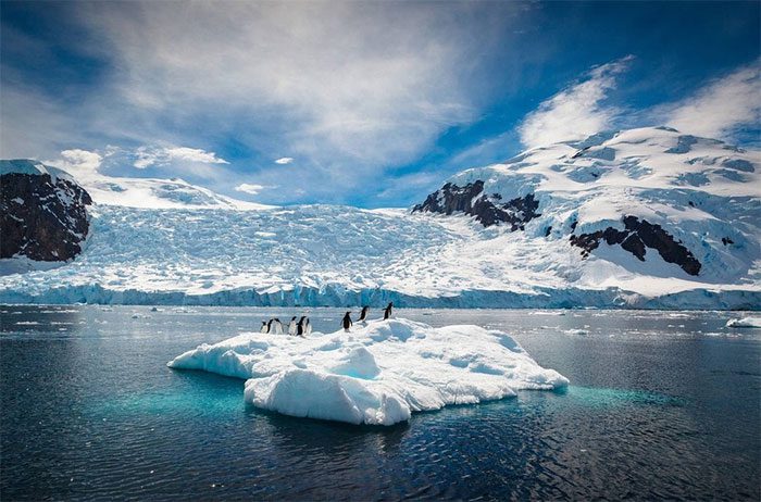 Penguins on a small iceberg in Antarctica.