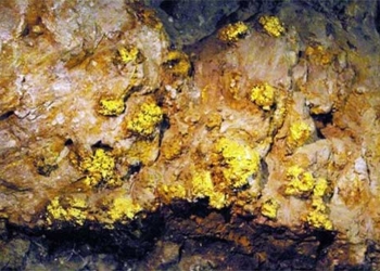 china discovers gold mine over 50 tons in son dong province 126532