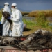china reports h5n1 infections fast 2 3 4 4b 126184