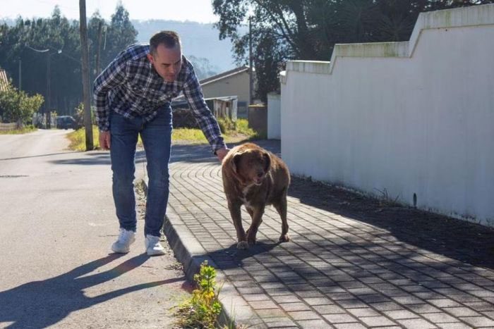 Leonel Costa walking with Bobi - the oldest dog in the world.