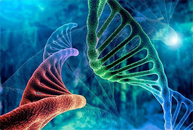 This DNA chaos is not just scattered among genes