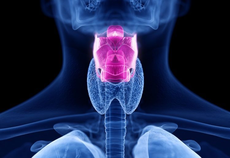 The smart artificial throat can recognize chords and mechanical movements.