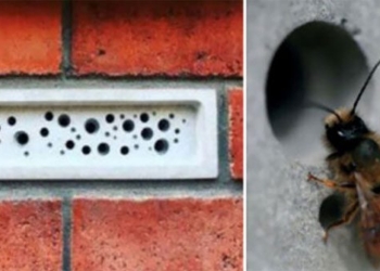 creating ceramic brick buildings into places for people 125516