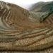 culture in agriculture 100000 years 6547