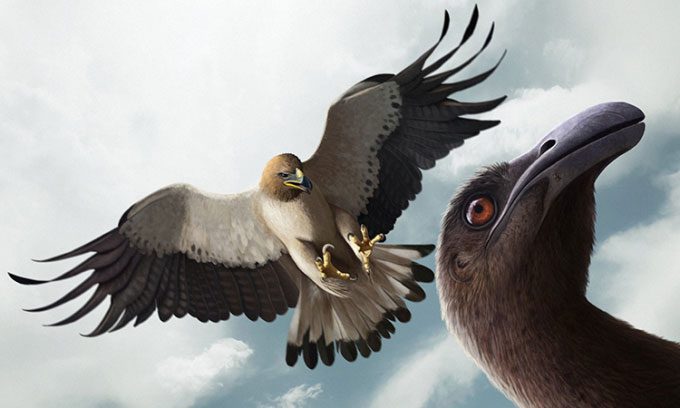 Simulation of the prehistoric eagle hunting.