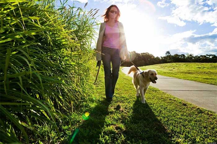 Plants have the ability to improve air quality, helping to reduce stress.