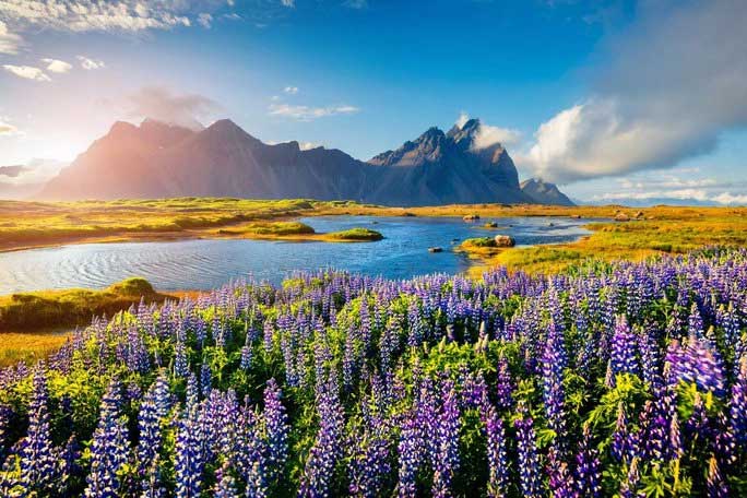 Iceland is praised for its spirit of support and generosity.