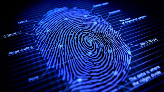 The formation of fingerprints results from many factors.