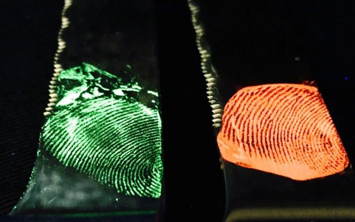 Everyone's fingerprints are unique