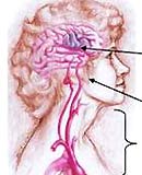 Sudden blurred vision may indicate transient ischemic attack