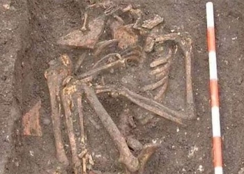 decoding the woman with the unusual bone structure mysteriously impregnated 125896