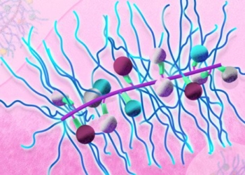 dentist creates successful nano particle drug for tumor treatment 126360