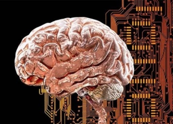 detecting the brain network hidden could cause many mental disorders 126456