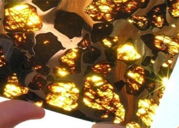 discovery 4 5 billion year old golden dragon like amber in sam mac gobi china 126438