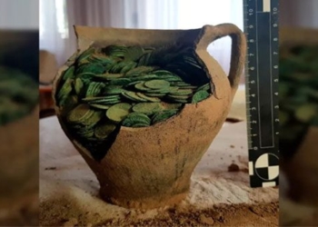 discovery of 1 000 thousand coins happy below the ground for 400 years 126343