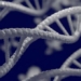 discovery of 155 new genes related to human evolution 124878