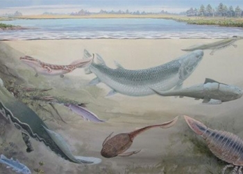 discovery of 360 million year old mythical water column specimen of ancient human type 126011
