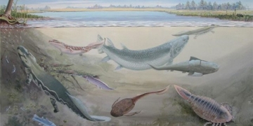 discovery of 360 million year old mythical water column specimen of ancient human type 126011