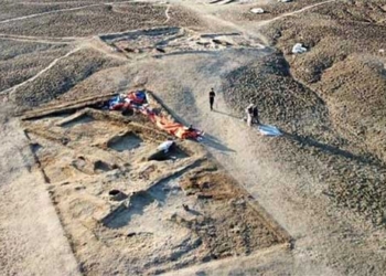discovery of 5 000 year old wine barrel in iraq 125601