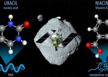 discovery of arn and vitamin b3 in the interstellar objects near earth 126513