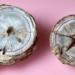 discovery of dinosaur egg 60 million years old not yet dead 126816