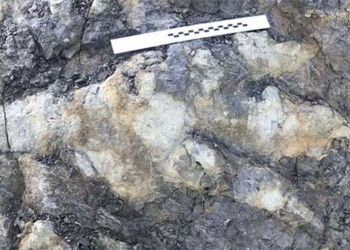 discovery of dinosaur footprint 166 million years old in england 125882