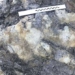 discovery of dinosaur footprint 166 million years old in england 125882