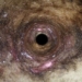 discovery of large black hole 30 billion times the mass of the sun 126633