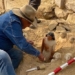 discovery of several mummies with preserved remains and the most complete found in egypt 125517