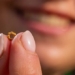 discovery of tiny gold nanoparticles 1600 years ago 125713